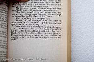 ... Of Green Gables Quotes Kindred Spirits Anne of green gables quotes