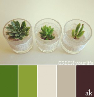 Green Succulent Inspired...