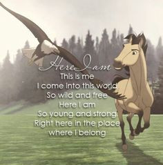 ... Quotes, Wild Horses Quotes, Spirit The Movie Quotes, Favorite Movie