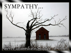 Sympathy gives immediate shelter to grief.