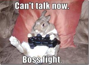 Funny Rabbit Picture