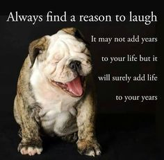 Baggy Bulldogs | Facebook