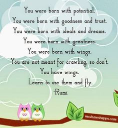 Fly.... Owl... Rumi!