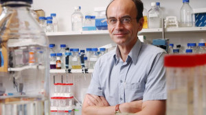 Randy Schekman wird er f r grundlegende Erkenntnisse ber die