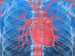 Heart Transplant Life Insurance