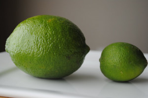 Famous American Quotes About Freedom · Skinny Girl Problems · Harley ...