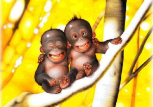 of two smiling baby monkeys sitting together has the ability to uplift ...