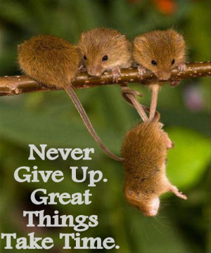 Real Time Quotes - Hard Time Quotes - Morning Time Quote - Images ...