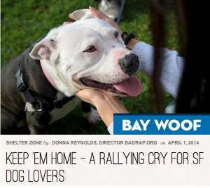 ... em home program focuses on help for bay area pit bull type dog owners