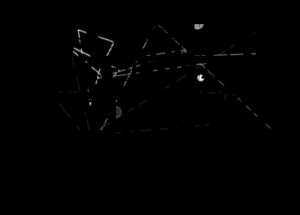 Quotes Picture: a black belt is a white belt who never quit!