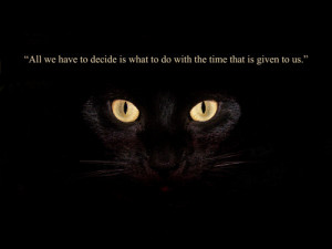 ... image include: william windom quotes, cat, decide, quote and quotes