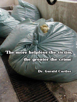 Each bag is full of waste products. Yep, to the egg industry, LIVE DAY ...