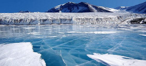MS Fram: 15-day Antarctica Polar Circle Expedition