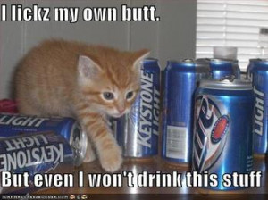 Here's Your CAT Drinking A BEER!