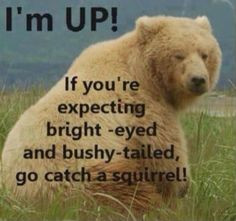 Im So Tired Quotes I'm so tired quotes