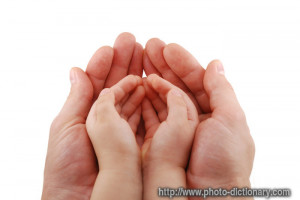 hands - photo/picture definition - hands word and phrase image