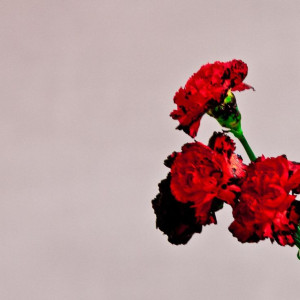 John Legend – All of Me