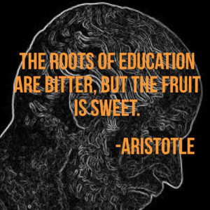 Roots Education Are Bitter