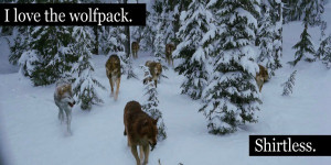 Funny Wolf Pack