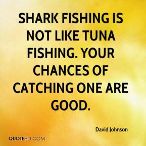 David Johnson - Shark fishing is not like tuna fishing. Your chances ...