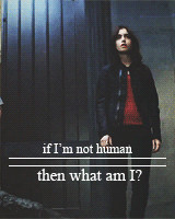 Robert Sheehan mygif tmi the mortal instruments Jace Wayland Cassandra ...