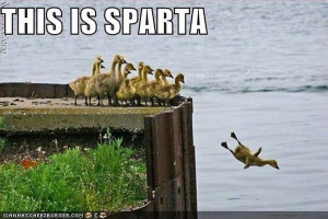 Related Pictures this is sparta funny pictures at videobash