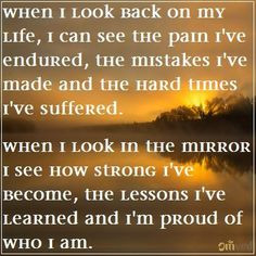 see the pain I've endured, the mistakes I've made and the hard times ...