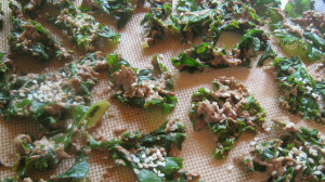 Raw Shredded Kale Salad The