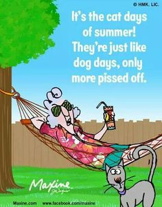 maxine summer more maxine moments laughing aunty acid maxine s gotta ...
