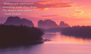 Without new experiences, something inside of us sleeps. The sleeper ...