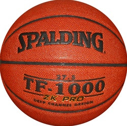 Wilson Evolution Basketball 295
