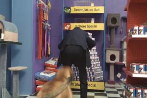 Joe Viterelli Quotes and Sound Clips