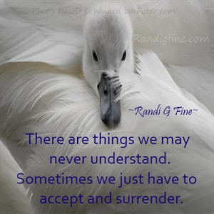 Accept and Surrender Quote