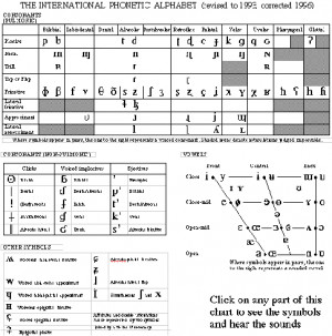 International Phonetic Alphabet Vowels