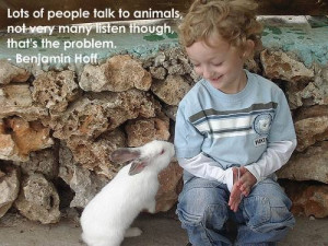 Boy rabbit quotes