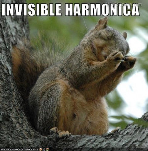 Squirrel playing invisible harmonica