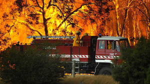Horror and Tragedy in Australia's Worst Wildfires