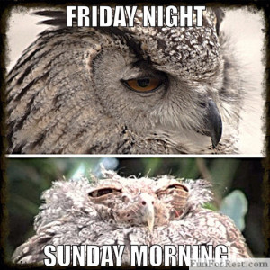 funny-owl-eyes-mess-tired-awake