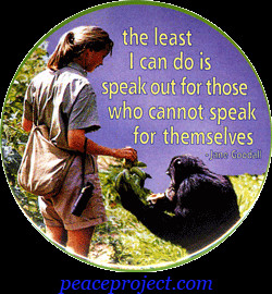 Quotes - All Educational, Fundraising and Promotional Resources