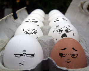 collection of Egg Quotes and Sayings - Quotes about Egg