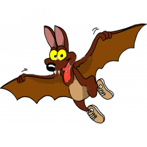 Funny Bats Photos