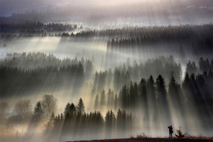 Forests Drenched in Light and Fog by Boguslaw Strempel by Christopher ...