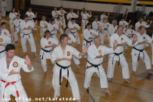 karate do,kung fu,londrina,curitiba,blumenau.joinville,florianópolis ...