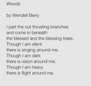 wendell berry more nature s trees s gardens written words wendell ...
