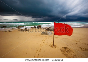 Related Pictures tornado warning anteater funny fo follow me