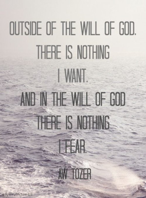 Tozer quote on the will of God.