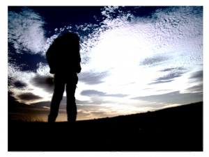 Funny Quotes Contact Dmca...