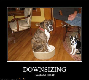 Erik Nuyens 2011 email