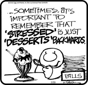 ziggy | Ziggy was great...