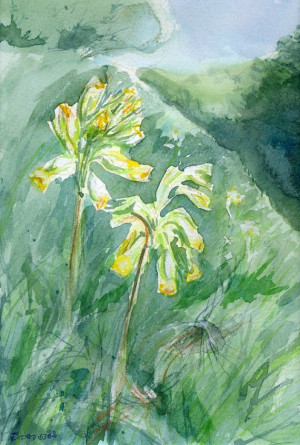 Cowslips in watercolour and mixed media (Primula veris) – in Long ...